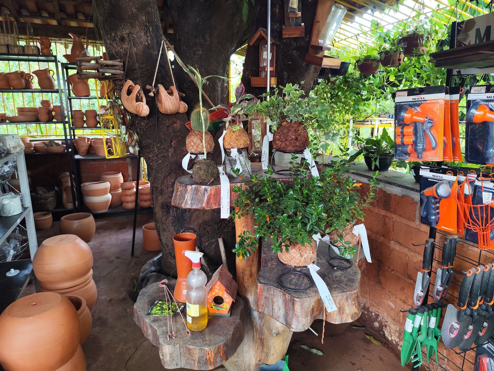 Ferramentas de jardinagem expostas na loja